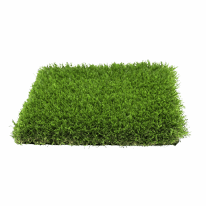 Monteverde.png
