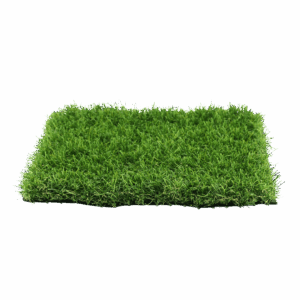 redwood.png