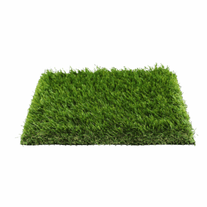 spiny.png